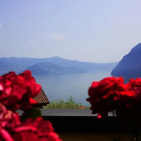 Con Vista Sul Lago Di Iseo E Piscina Lägenhet
